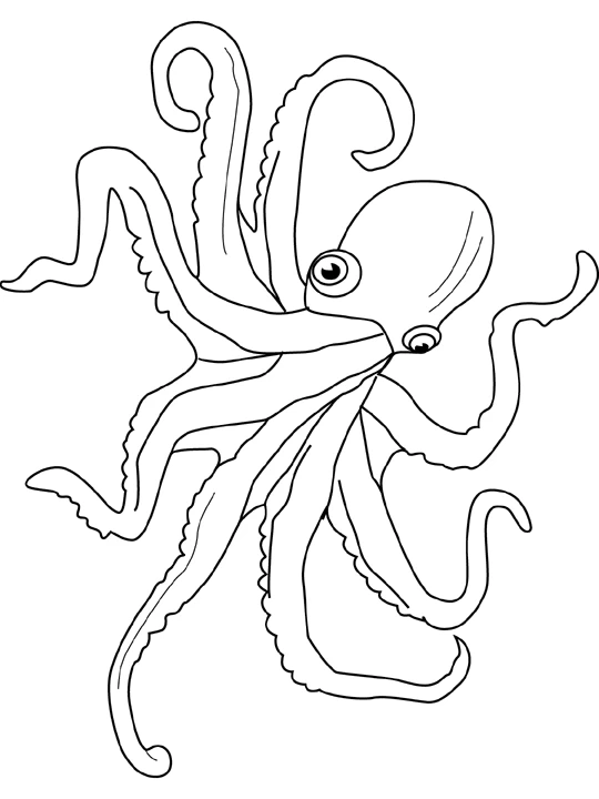 Malvorlage Oktopus mit gewundenen Fangarmen
