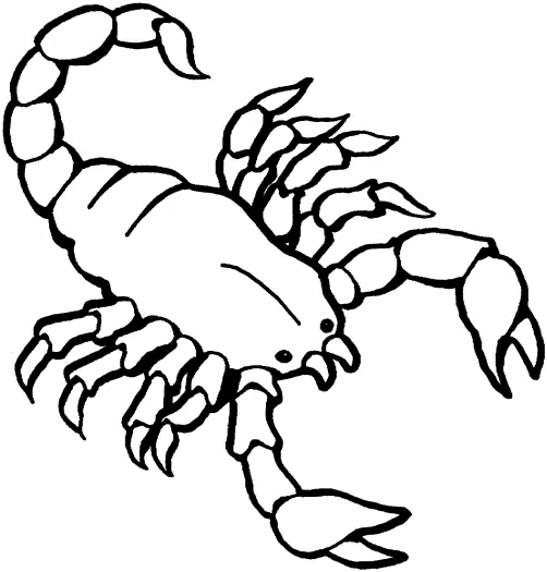 Malvorlage Skorpion mit gebogenem Schwanz